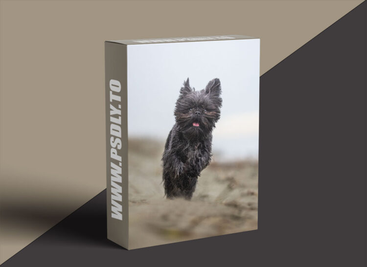 Unleashed Education - 5 Mistakes Pet Photographers are Making and How Not to Make Them 1 Unleashed Education - 5 Mistakes Pet Photographers are Making and How Not to Make Them