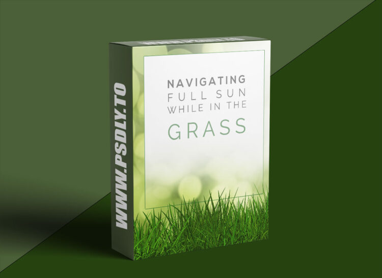 AwTeaches - Full Sun in Green Grass 1 AwTeaches - Full Sun in Green Grass