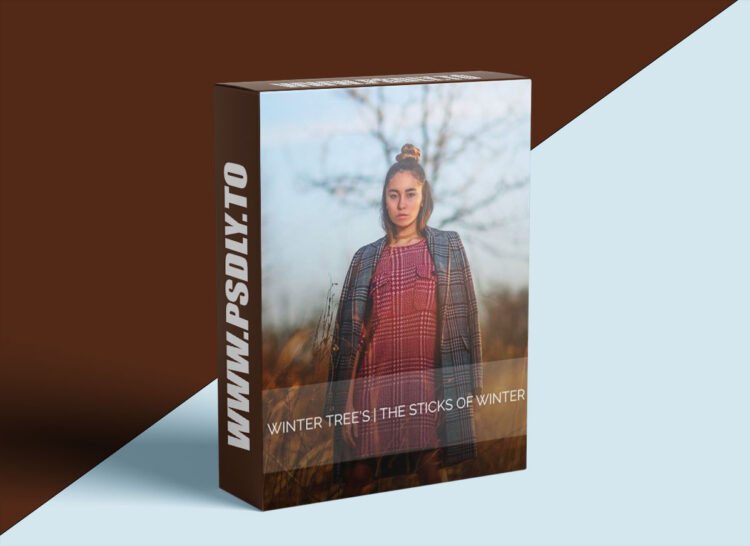 AwTeaches - Sticks of Winter 1 AwTeaches - Sticks of Winter