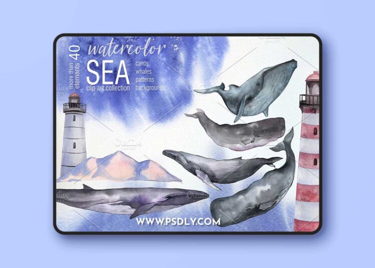 CreativeMarket - Watercolor Sea Whales clip art 2370047 1 CreativeMarket - Watercolor Sea Whales clip art 2370047