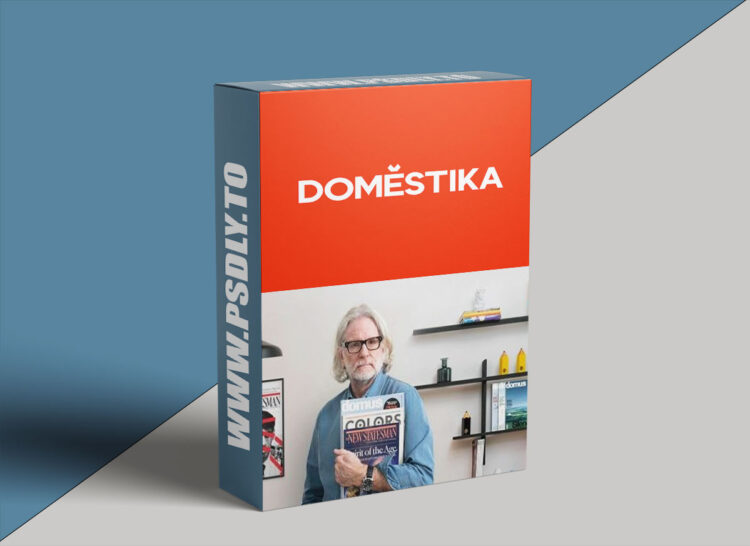 Domestika - Innovative Design Systems for Editorial and Digital Media 1 Domestika - Innovative Design Systems for Editorial and Digital Media