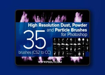 Dust, Powder and Particle Brushes