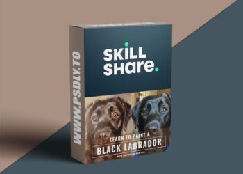 Learn To Paint A Black Labrador in Acrylic Paint : Step by Step Guide To Painting Black Fur