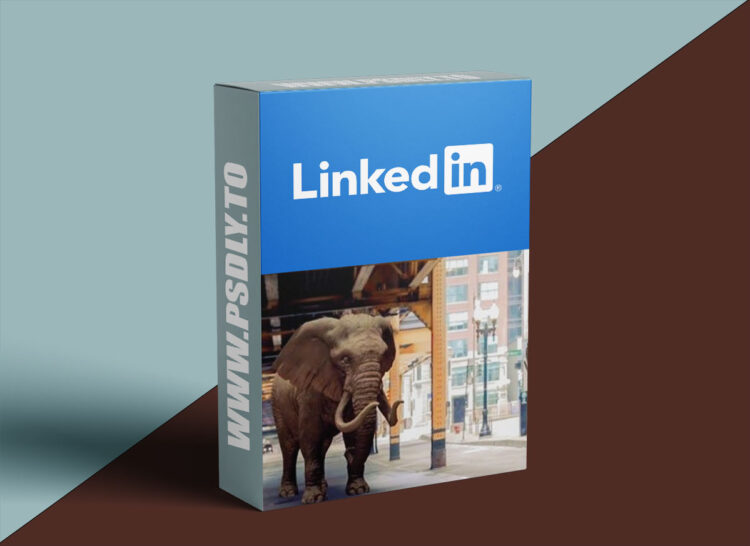 Linkedin - After Effects: Working with 3D Models 1 Linkedin - After Effects: Working with 3D Models