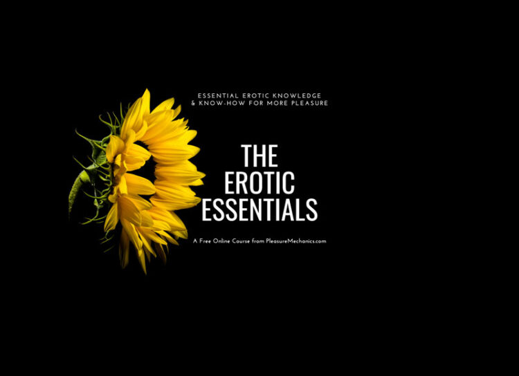 Pleasure Mechanics – The Erotic Essentials 1 Pleasure Mechanics – The Erotic Essentials