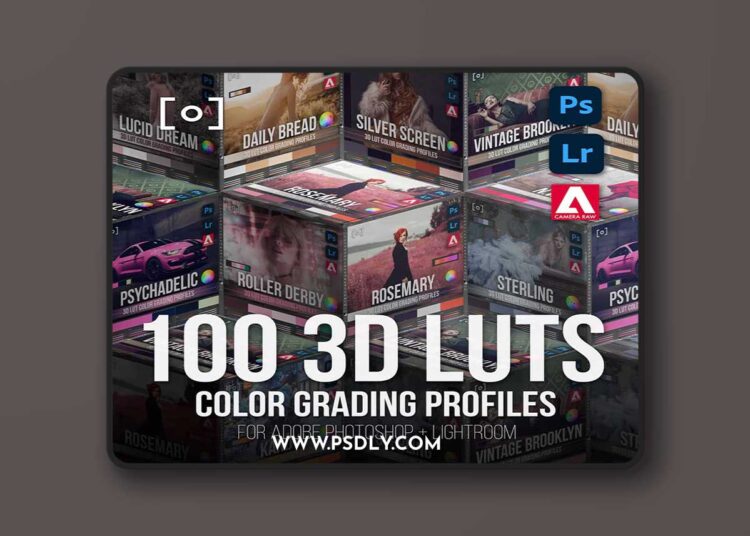 Pro EDU - Master Collection | 100 3D LUT Profiles for Adobe 1 Pro EDU - Master Collection | 100 3D LUT Profiles for Adobe