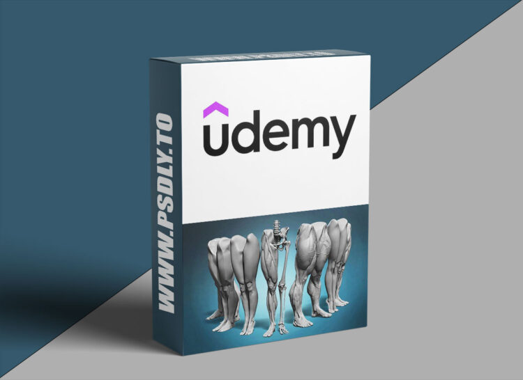 Udemy - Legs and feet anatomy exercises course 1 Udemy - Legs and feet anatomy exercises course