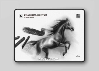 10 Charcoal Sketch Affinity Brushes