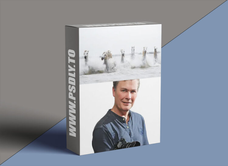CreativeLive - Mastering Your Digital Camera 1 CreativeLive - Mastering Your Digital Camera