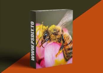 KelbyOne - Exploring Macro Photography from Beginning to End