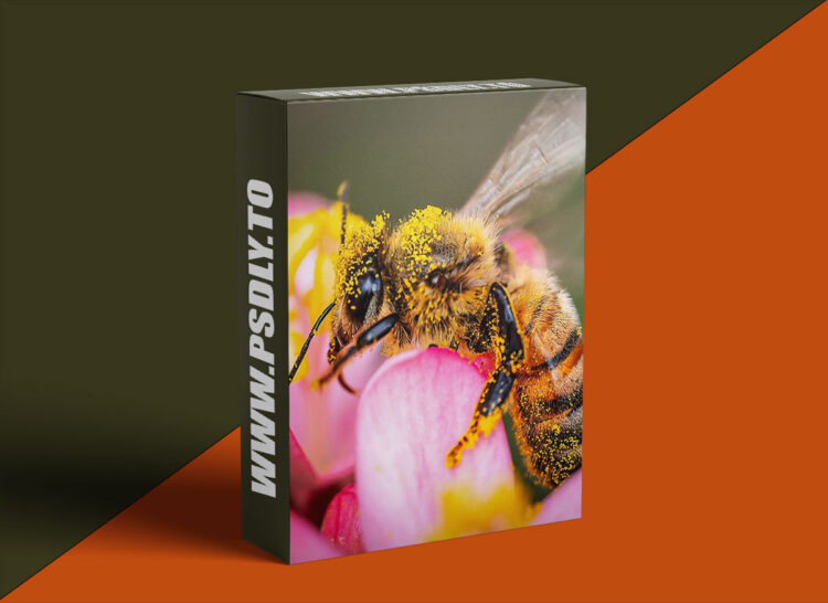 KelbyOne - Exploring Macro Photography from Beginning to End 1 KelbyOne - Exploring Macro Photography from Beginning to End