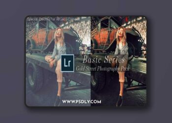 Leica-Review - Basic Gold Street Photography Presets