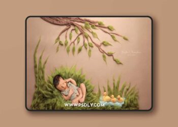 Sasha Chomakov - Newborn Digital Backdrop - Ducks