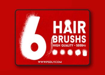 The Hair Strand 6xABR