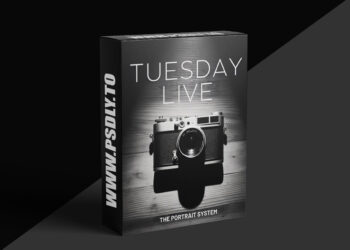 The Portrait System - Pricing Insights with Kitti McMeel and Tammy Zurak