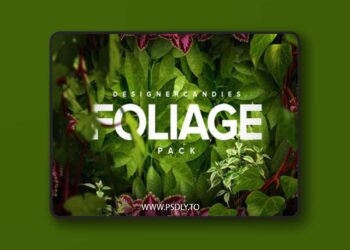 3D Foliage Pack - Transperent PNG