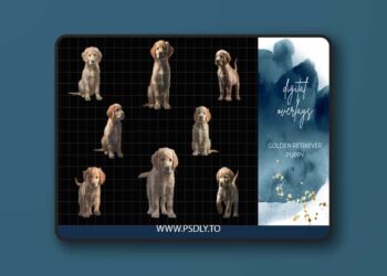 Finding North Education - Golden Retriever Puppy Digital Overlays