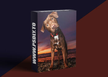 KelbyOne - Best Kept Secrets to Amazing Dog Photography