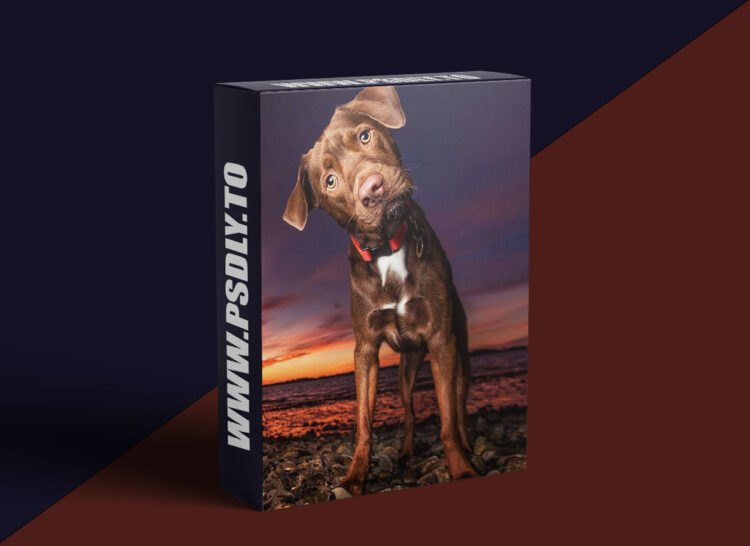 KelbyOne - Best Kept Secrets to Amazing Dog Photography 1 KelbyOne - Best Kept Secrets to Amazing Dog Photography