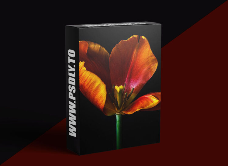 KelbyOne - Creating Breathtaking Floral Images 1 KelbyOne - Creating Breathtaking Floral Images