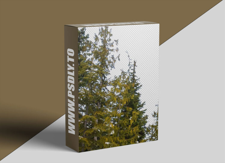 Mattepaint - Dynamic Masking 1 Mattepaint - Dynamic Masking
