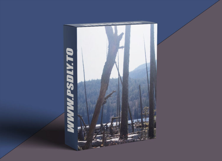 Mattepaint - Edges, Halo And Lightwrap 1 Mattepaint - Edges, Halo And Lightwrap