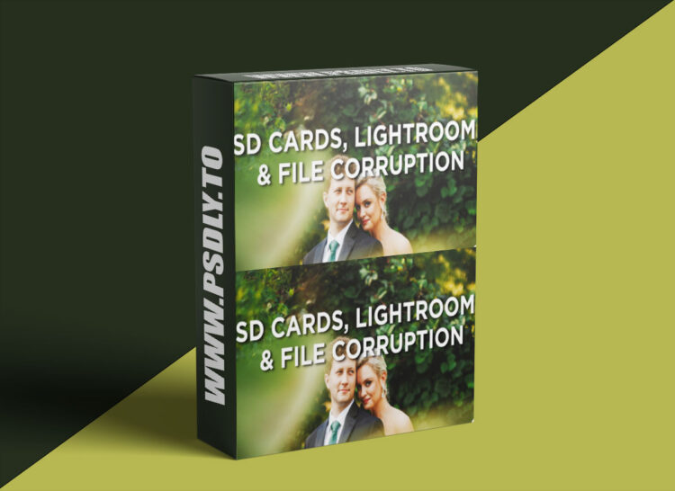 Sam Hurd - Lightroom's Built In File Corruption Check, and an app to pre-scan new memory cards for errors 1 Sam Hurd - Lightroom's Built In File Corruption Check, and an app to pre-scan new memory cards for errors
