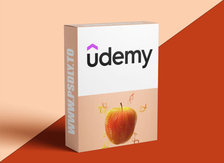 Udemy - How to Scatter Sine Waves onto any object in Houdini 1 Udemy - How to Scatter Sine Waves onto any object in Houdini