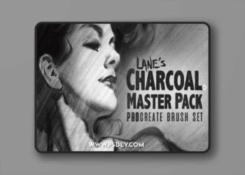 Artstation - The Charcoal Master Pack - Procreate Brush Set