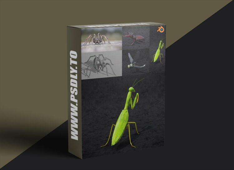 Blendermarket – Blender 2.81 - Insect And Spiders Creation Full Course 1 Blendermarket – Blender 2.81 - Insect And Spiders Creation Full Course