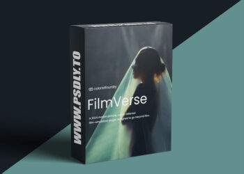 Colorist Foundry - FilmVerse Full Plugin V2.1 for Davinci Resolve