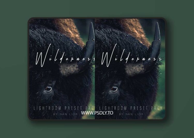 Dan Lior - Wildreness Cinematic Pack 1 Dan Lior - Wildreness Cinematic Pack