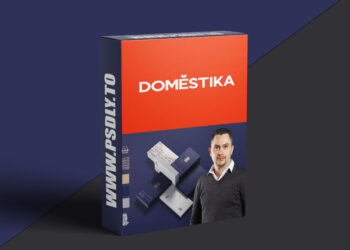 Domestika - Creation of a Corporate Identity Manual
