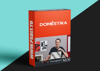 Domestika - Experimental Techniques for Graphic Design Solutions