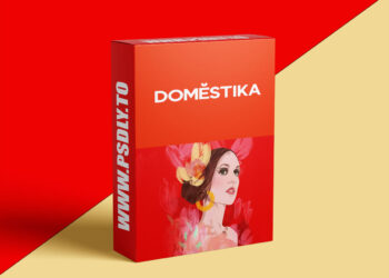 Domestika - Guided Project: Creative Portrait with Transfer
