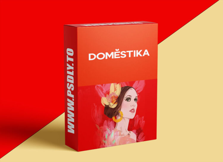 Domestika - Guided Project: Creative Portrait with Transfer 1 Domestika - Guided Project: Creative Portrait with Transfer