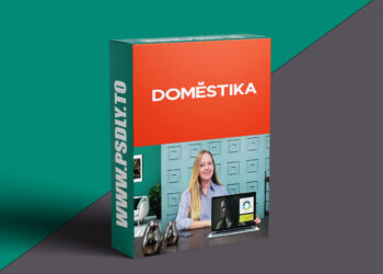 Domestika - Introduction to Social Media for Creative Entrepreneurs
