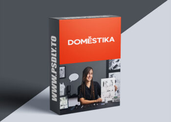Domestika - Manga Comics for Beginners: From Concept to Creation