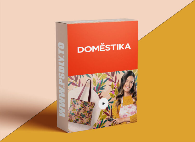 Domestika - Personal Brand Creation Based on Your Patterns 1 Domestika - Personal Brand Creation Based on Your Patterns