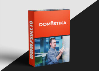 Domestika - UX: Usability and User Experience