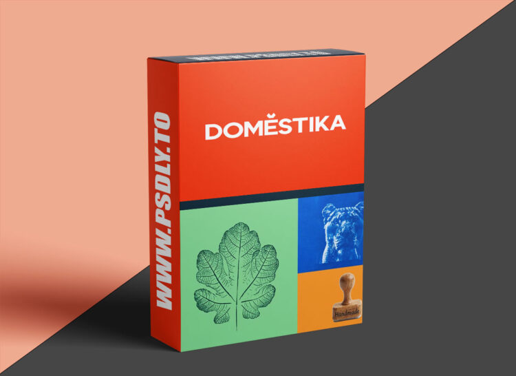 Domestika – Specialization in creative artisanal printing techniques 1 Domestika – Specialization in creative artisanal printing techniques