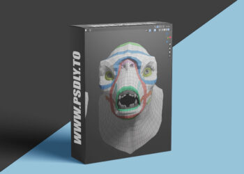 Flippednormals - Retopology in Blender