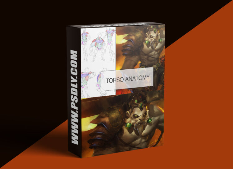 Gumroad –Torso Anatomy Lesson + Painting! 1 Gumroad –Torso Anatomy Lesson + Painting!