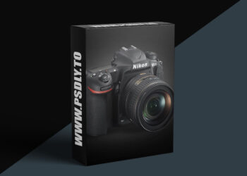 KelbyOne - Nikon D500 Camera Essentials