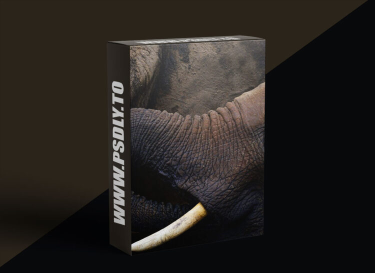 KelbyOne - Putting Emotion Into Your Wildlife Photography 1 KelbyOne - Putting Emotion Into Your Wildlife Photography