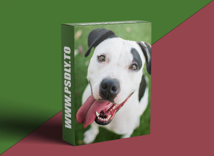 KelbyOne - The Secrets to Capturing the Best. Dog. Photos. Ever. Taken. 1 KelbyOne - The Secrets to Capturing the Best. Dog. Photos. Ever. Taken.