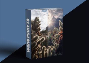 Max Rive Photography - Photoshop Sunstar Creation Tutorial