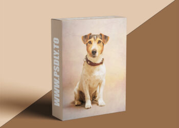 Megbittonproductions - Five Minute Edit: Studio Pup