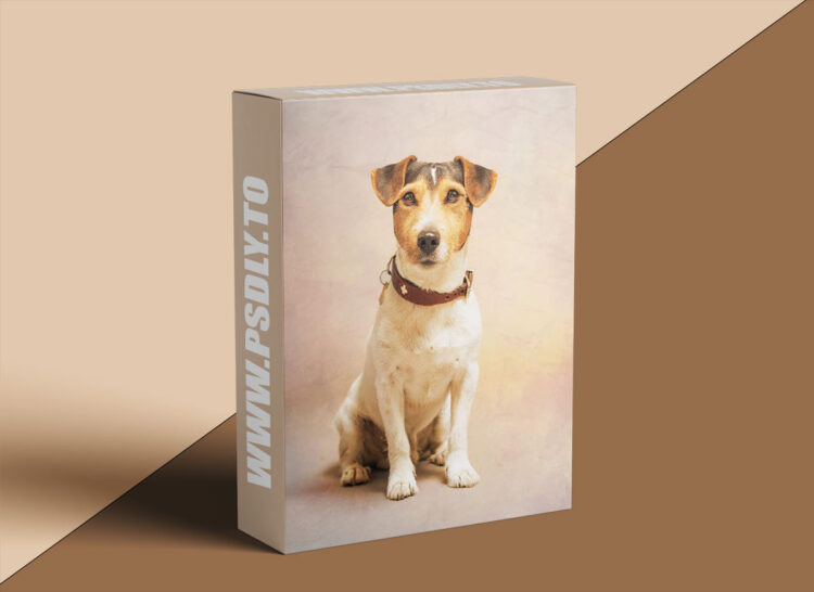 Megbittonproductions - Five Minute Edit: Studio Pup 1 Megbittonproductions - Five Minute Edit: Studio Pup