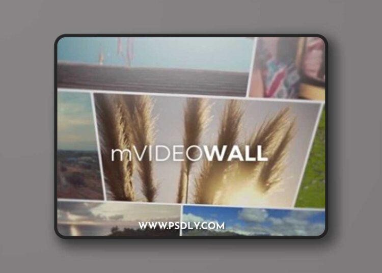 MotionVFX - mVideowall 2025 1 MotionVFX - mVideowall 2025